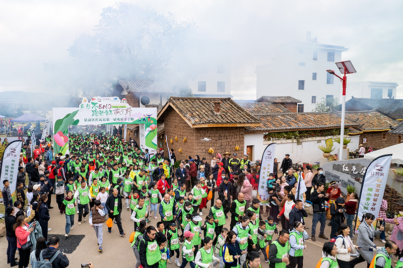 500人共赴春日之约 奏响乡村“欢乐颂”(图1)
